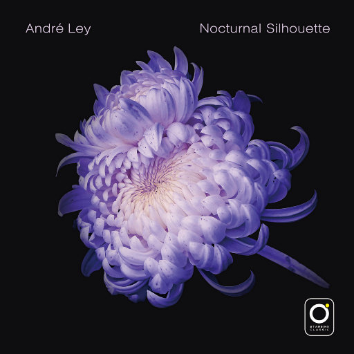 午夜剧场性生活片
